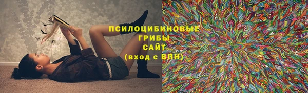 круглые Аркадак