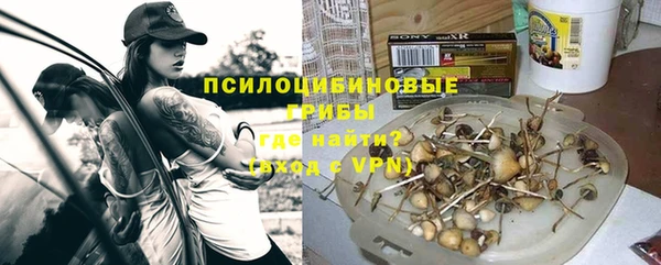 трава Арсеньев
