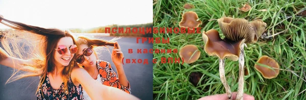 круглые Аркадак