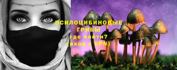 круглые Аркадак