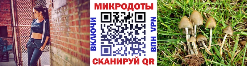 сколько стоит  Арсеньев  Галлюциногенные грибы Magic Shrooms 